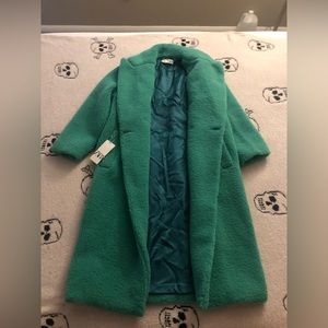 Gorgeous Green Zara Coat, Never Worn NWT